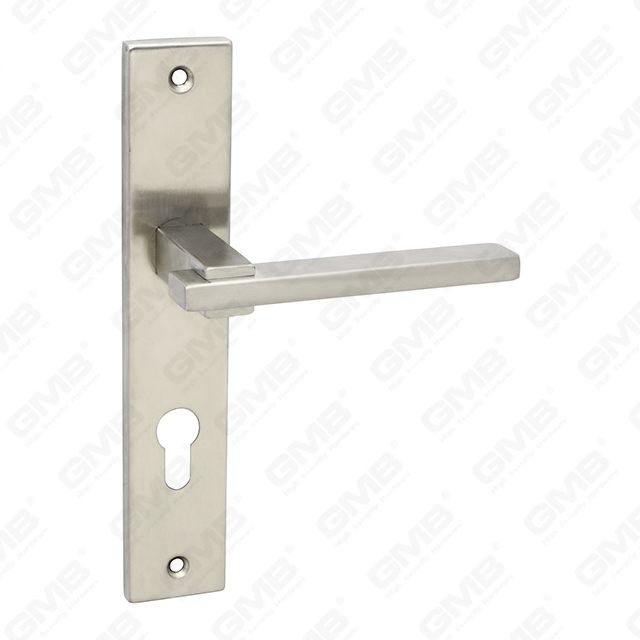 Manico della maniglia della porta della porta in acciaio inossidabile di alta qualità #304 (61 316)