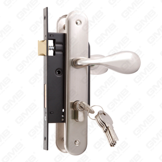 Set serratura ad alta sicurezza con foro cilindro scrocco Set serratura Maniglia serratura cassa serratura (Serie 1549)